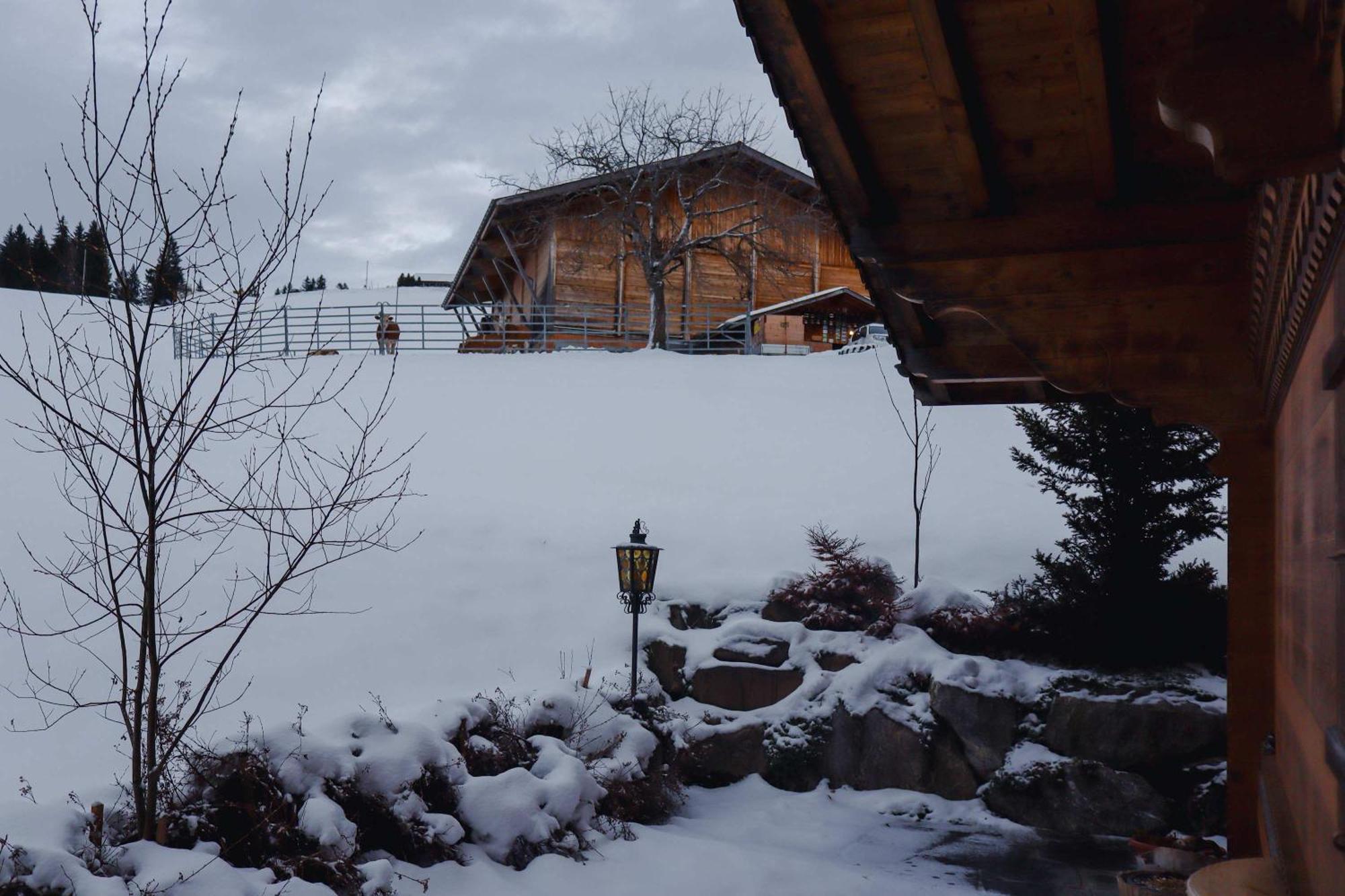 Gstaad Blue Sky Chalet Villa Exterior photo